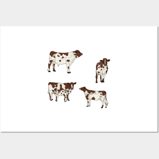 Ayrshire Cows Pattern Transparent Posters and Art